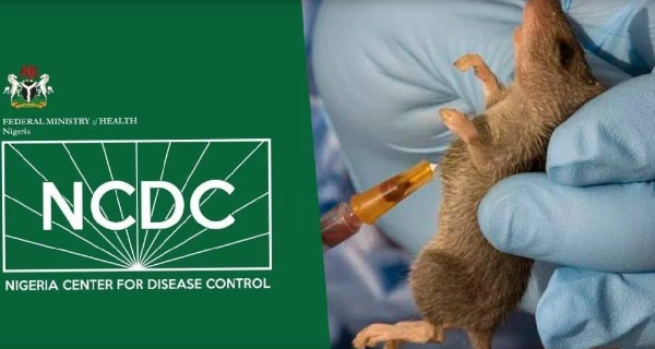 Fourteen new cases of Lassa fever have been confirmed by the Nigeria NCDC
