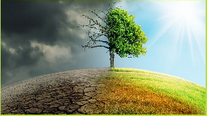 The photo used to illustrate the story