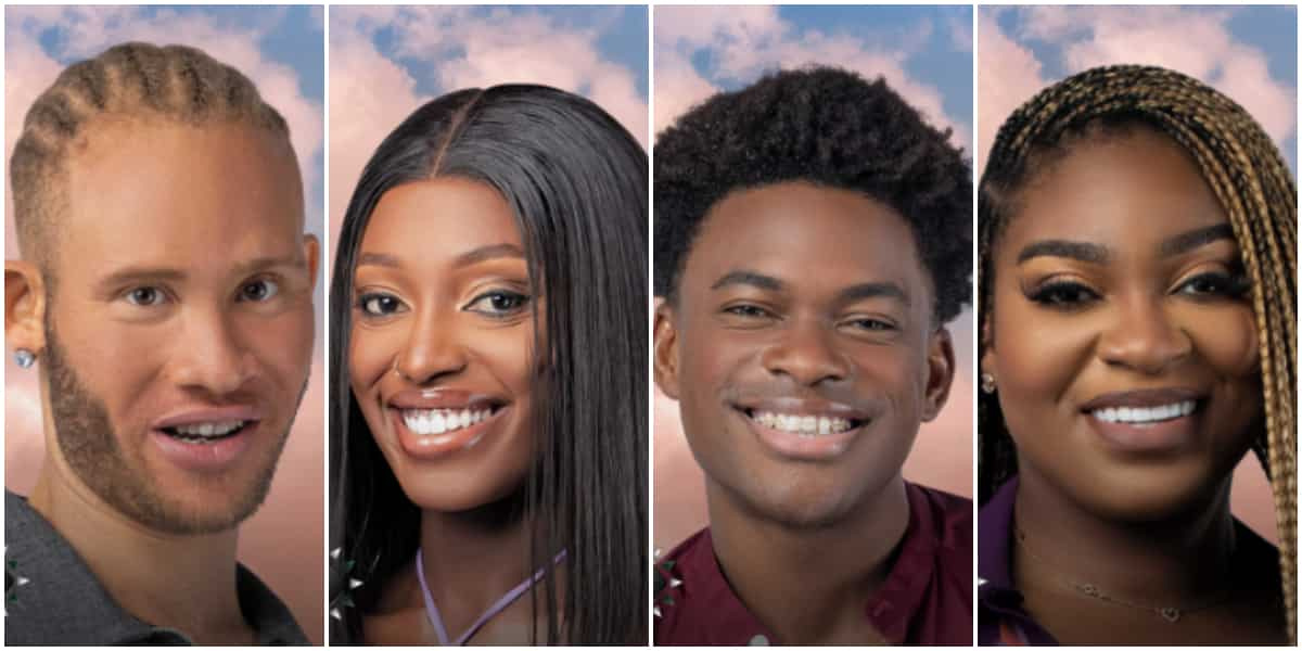 Big Brother Titans: Meet Nigerian housemates