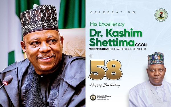 Vice President Kashim Shettima