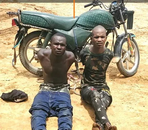 The photo used to illustrate the story