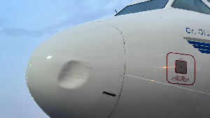 United Airline aircraft suffers another bird strike