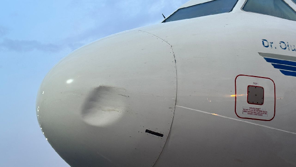United Airline aircraft suffers another bird strike