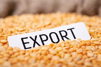 Food export