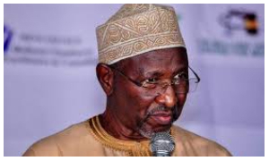 Dr Usman Bugaje is an Islamic scholar and political activist