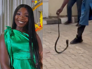 Snake believed to have killed singer Nanyah