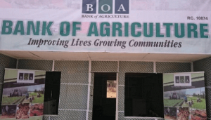 Bank of Agriculture