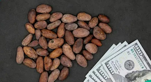 The photo used to illustrate the story