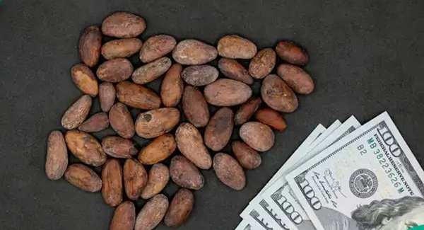 The photo used to illustrate the story