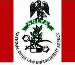 National Drug Law Enforcement Agency (NDLEA)