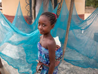 The photo used to illustrate the story