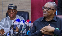 A collage of Femi Fani Kayode and Peter Obi