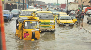 The photo used to illustrate the story