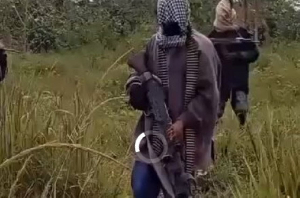 Screenshot of the video