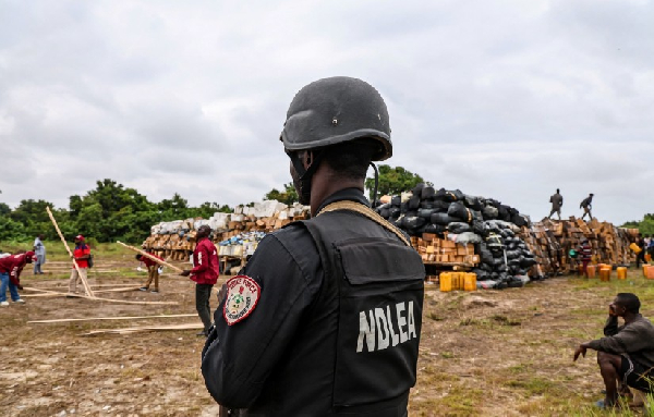 NDLEA destroys illicit drugs