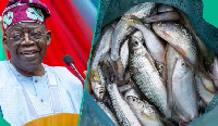 The photo used to illustrate the story