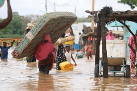 The photo used to illustrate the story