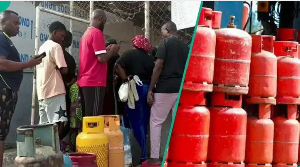 Cooking gas depot prices remain steady as Dangote maintains its N950 per kilogram rate Cooking gas depot prices remain steady as Dangote maintains its N950 per kilogram rate