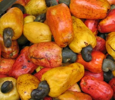 Cashew (file image)